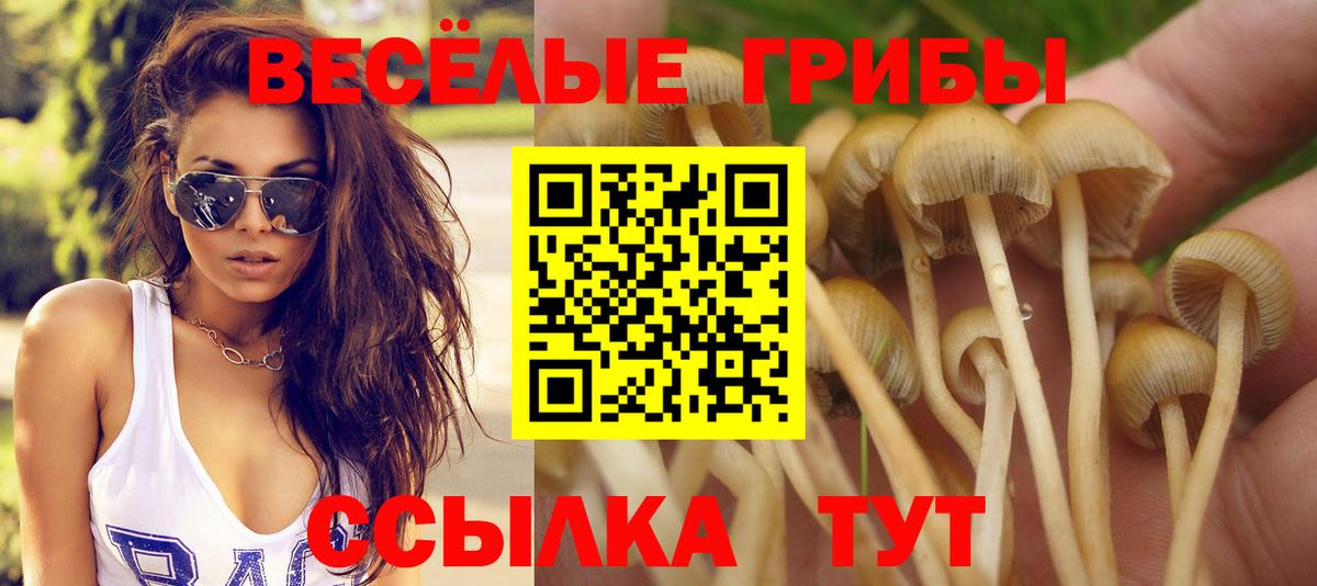 наркошоп  Галлюциногенные грибы GOLDEN TEACHER  Вход с VPN  Волхов 